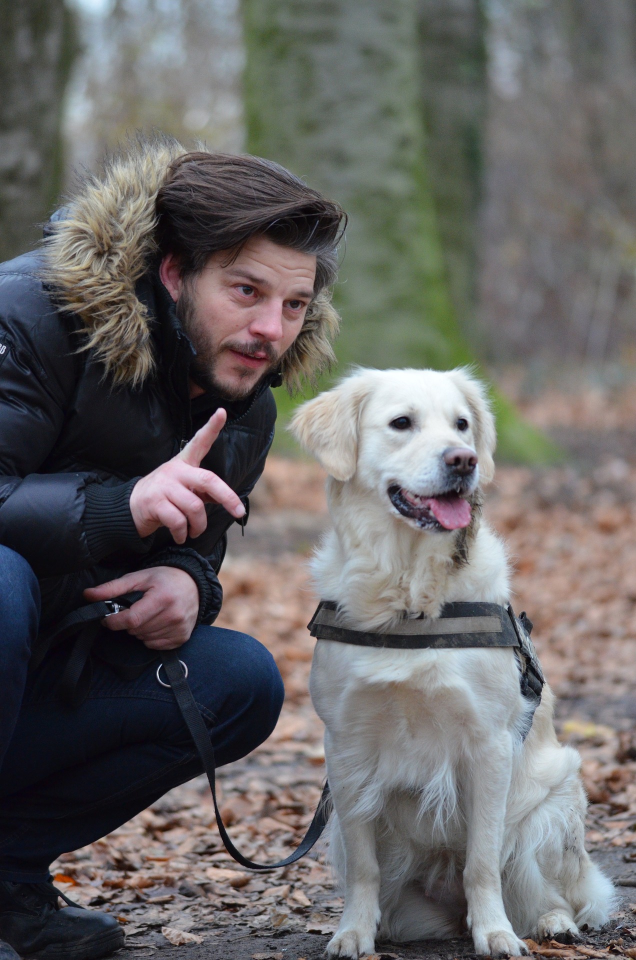 Éducation canine positive - éducateur canin